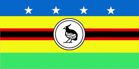Flag of Choiseul Province. Bendera Provinsi Choiseul. Choiseul Province Flag. Flag of Province of Choiseul. Province of Choiseul Flag. Drapeau de la province de Choiseul. Bandeira da Província de Choiseul. Bandera de la provincia de Choiseul. チョイスル州の旗
