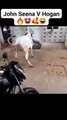 Qurbani Part 2 🤩 #trendingshorts #youtubeshorts #viralvideo #qurbani #qurbanistatus