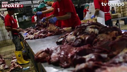 Sejumlah Cara Aman Mengonsumsi Daging Kurban