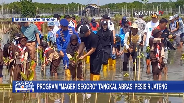 Gubernur Jateng Luncurkan Program Mageri Segoro, Tanam Mangrove Massal Tangkal Abrasi di Pesisir