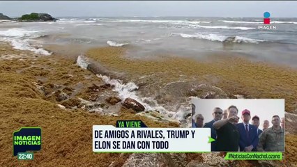 El sargazo amenaza con una de sus peores temporadas en Quintana Roo
