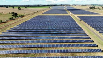 A grazier’s message on discovering a boost in productivity with solar panels on land