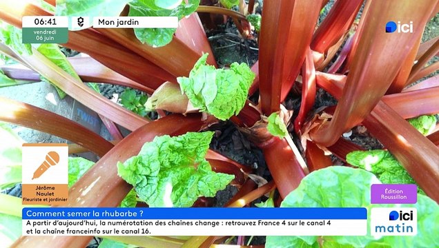 06/06/2025 - ici matin par ici Roussillon en vidéo