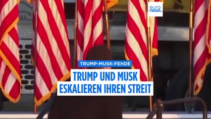 Elon Musk behauptet, Donald Trump werde in den Epstein-Akten erwähnt