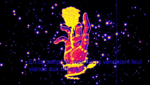 Eric Villet - Exil sur planète fantôme d'Hubert Félix Thiefaine