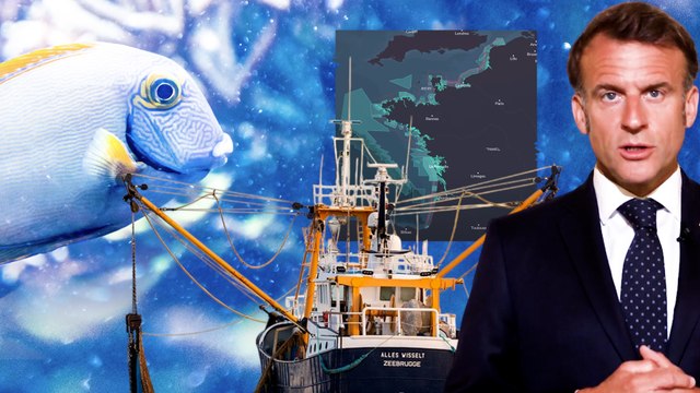 Océans : pourquoi les aires marines protégées françaises ne protègent presque rien