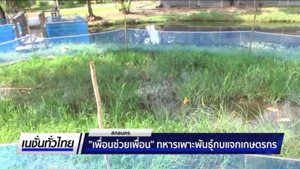 "เพื่อนช่วยเพื่อน" ทหารเพาะพันธุ์กบแจกเกษตรกร | เนชั่นทั่วไทย |  6 มิ.ย. 68 | PART 2