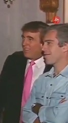 Archive footage shows Trump with Epstein  as Musk says he appears in case files