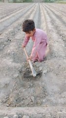 Labour Hardworking Child | Muhammad Mustaqeem