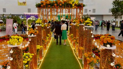 실내 꽃 잔치·야외 영화제...휴일 즐기는 이색 풍경 / YTN