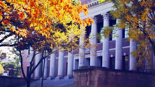 Una jueza federal detiene la suspensión de visados a alumnos extranjeros de Harvard