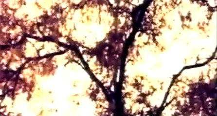 Kawin Lari (1974): Kisah Ibu dan Anak yang Mengharukan - thumbnail