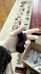 Biólogo vira “pai” de filhote de furão e precisa até dar leite na “mamadeira” em Jaraguá do Sul ‐ Feito com o Clipchamp