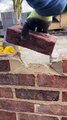Every Brick in Place – Most Satisfying Wall Build Ever! 🤯 #oddlysatisfying  #satisfactory