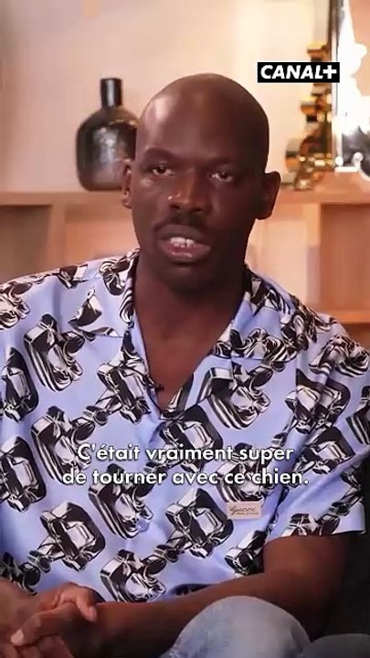 Qu’est-ce qu’il vous faut de plus que le trio François Damiens, Laetitia Dosch, Jean-Pascal Zadi pour regarder Le Procès du Chien ? 🐶 Un doggo peut-être.