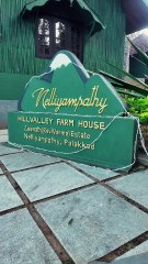 Family cottages in Nelliyampathy - Hillvalley Farm house