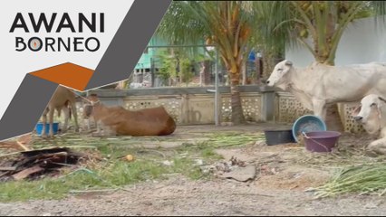 Penyertaan peserta ibadah korban Masjid Bandaraya meningkat