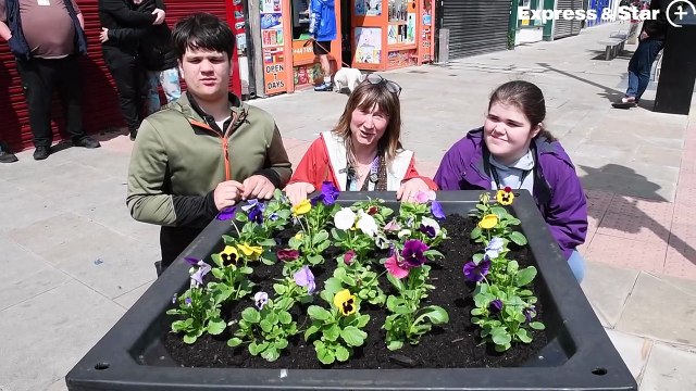 Volunteers including special needs students from Dudley College have been busy planting up the High Street in Brierley Hill, for Brierley Hill in Bloom.