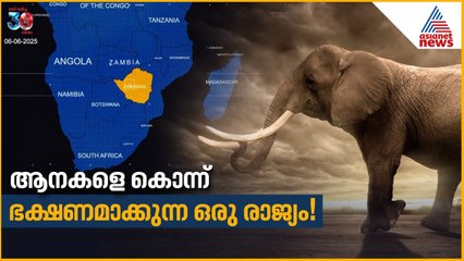 ആനകളുടെ എണ്ണം കൂടിയാൽ എന്ത് ചെയ്യും? കൂട്ടത്തോടെ കൊല്ലണോ? വിചിത്ര നീക്കം!