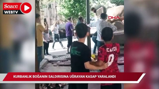 Kaçan kurbanlık boğa çocukları kovaladı