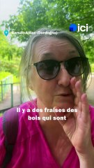 Les Jardins d'eau de Carsac fêtent leurs 25 ans