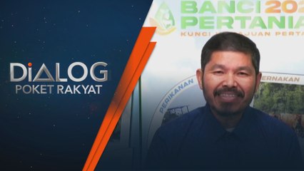 Cerita belia bertani: Bermula dengan ‘pasu kutip’, kini usahakan 11,000 pot hidroponik