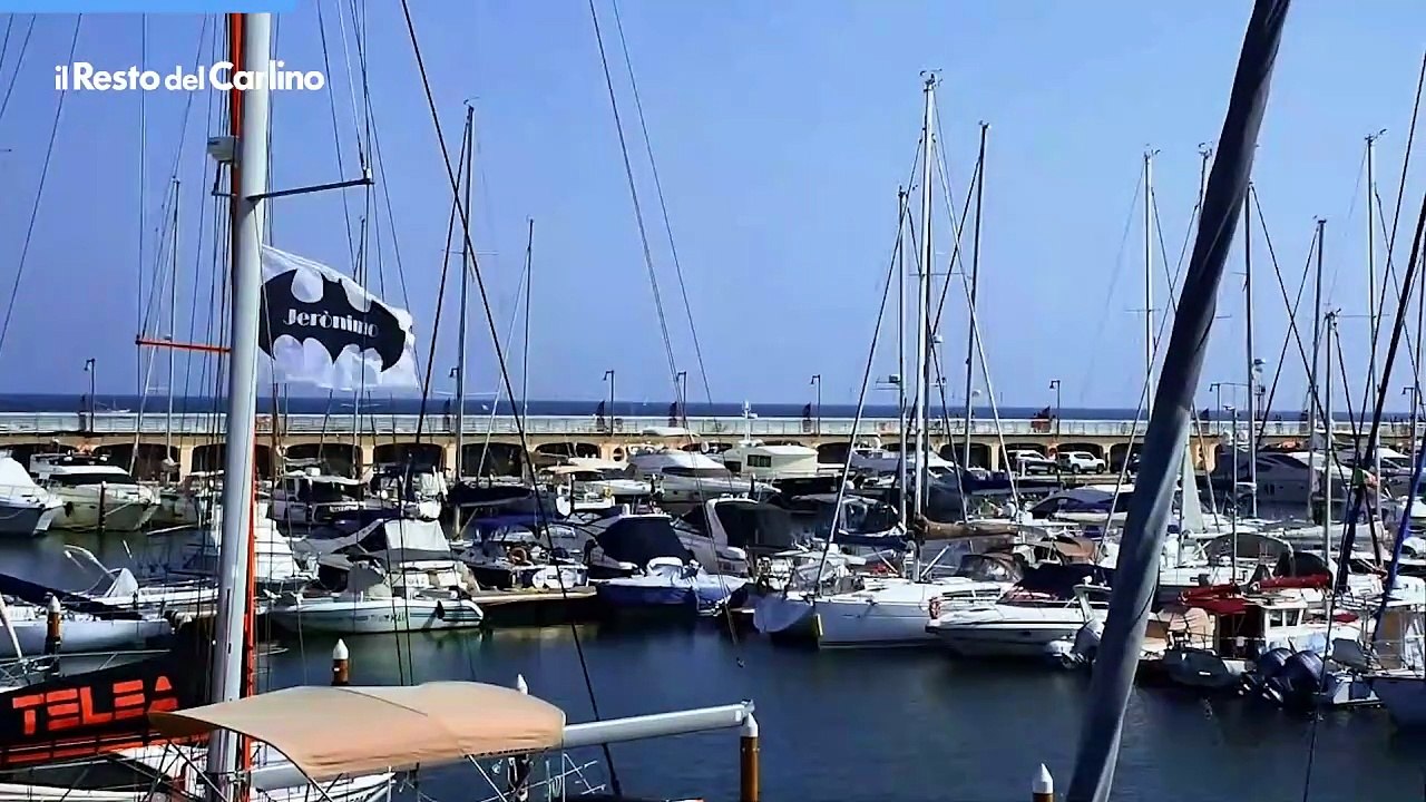 Il video dei delfini nel mare Adriatico