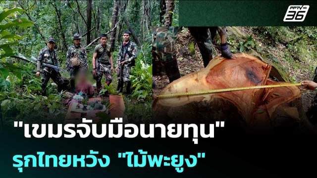 แฉ พิพาทช่องบก เขมรจับมือนายทุน รุกไทยหวัง ไม้พะยูง | เข้มข่าวค่ำ | 6 มิ.ย. 68