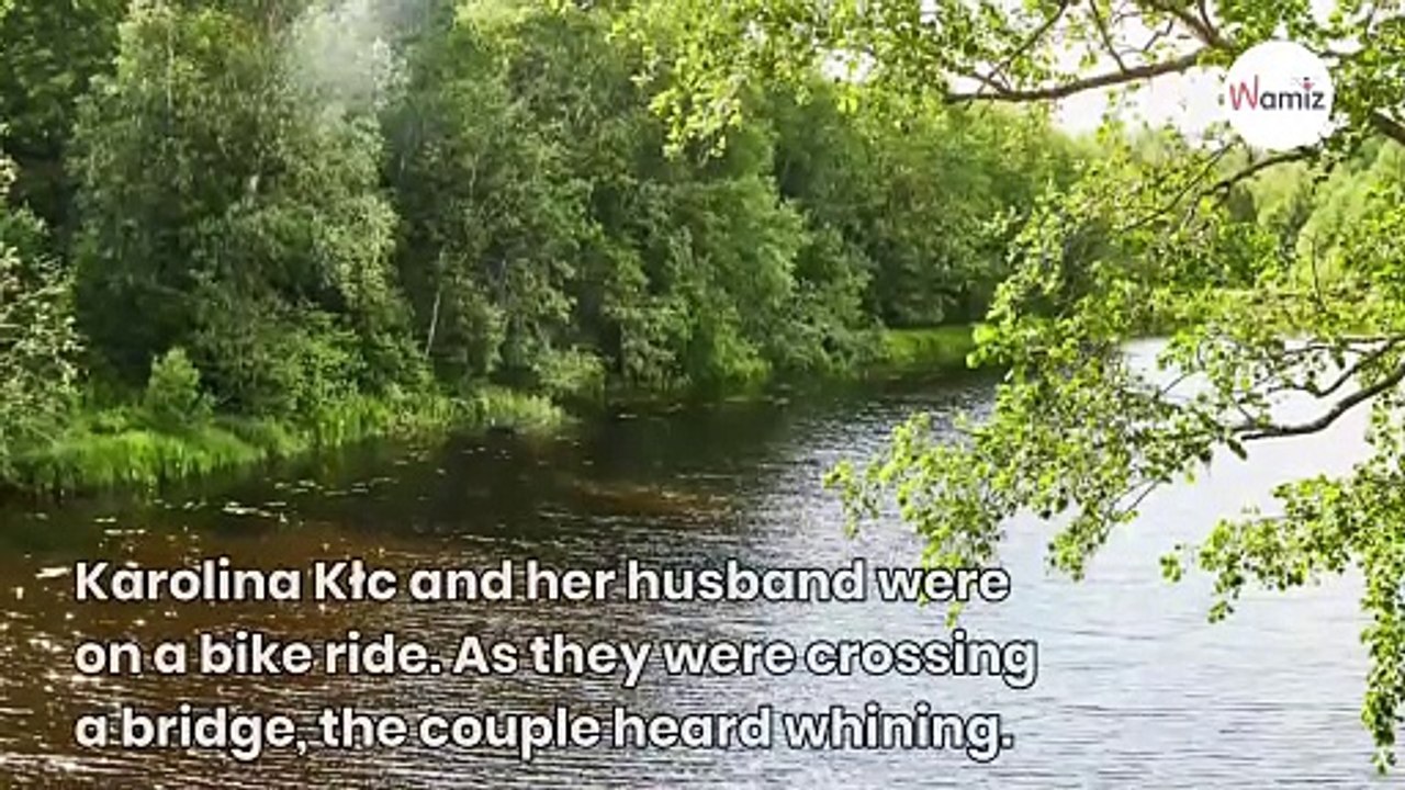 Bike ride turns emergency rescue when couple hear whining coming from the water