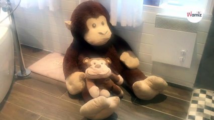 Owner rushes to the bathroom when she hears water running and makes shocking find