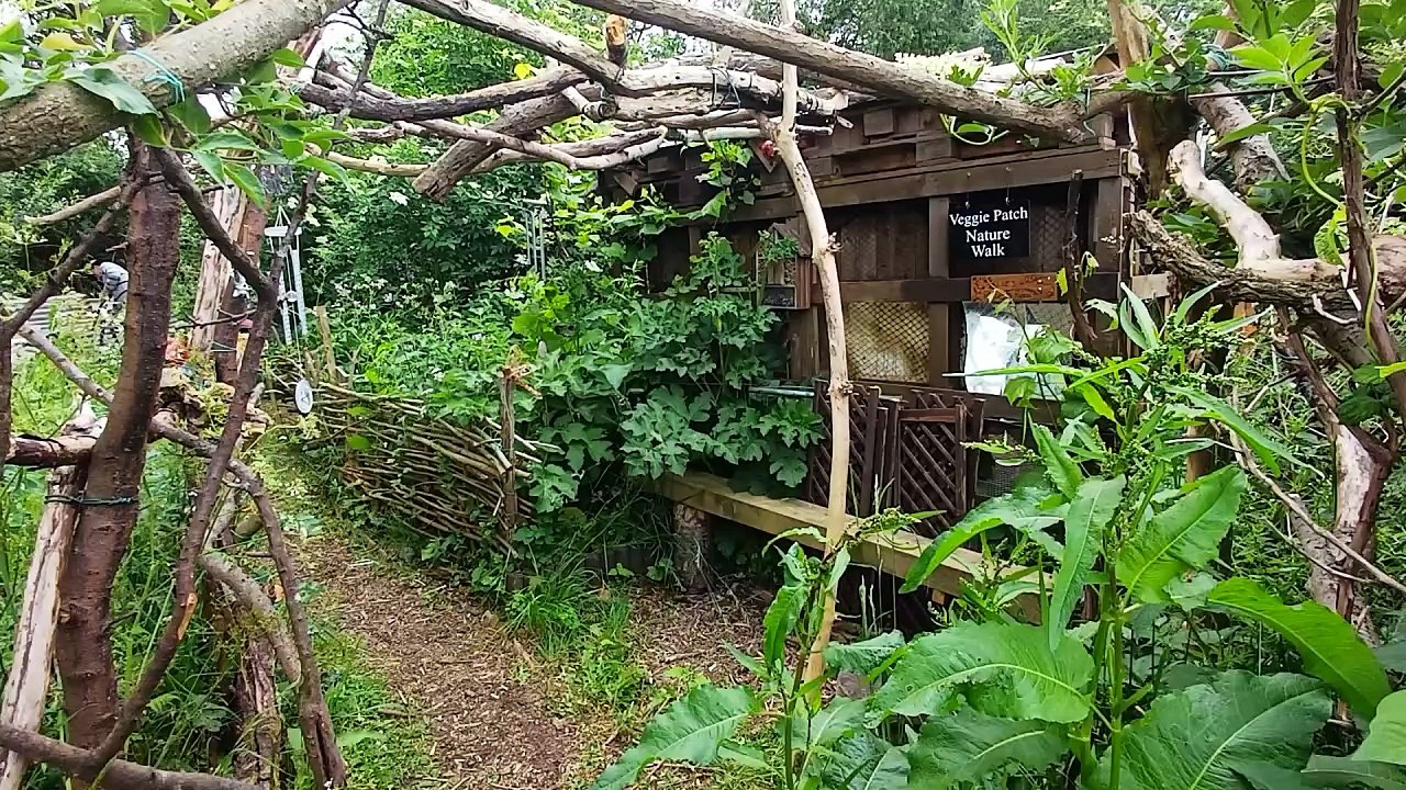 Wellingborough homeless charity's veggie patch...