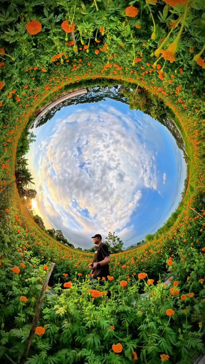 Kebun Bunga Gumitir Bali