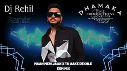 HIRE THE BEST INDIAN WEDDING DJS IN LAS VEGAS