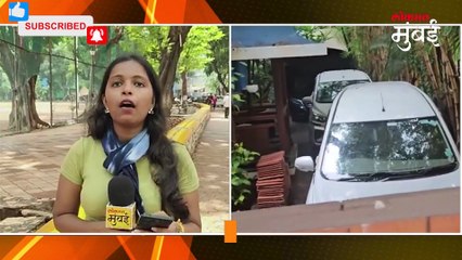भिनेता डिनो मोरियाच्या घरावर छापा, मिठी नदी घोटाळा भोवणार