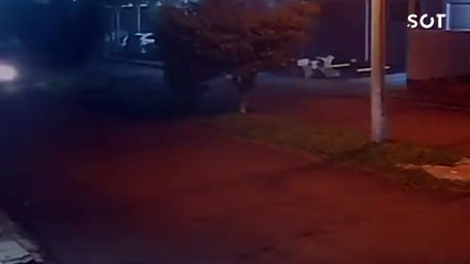 Mulher morre atropelada e corpo é encontrado sobre o carro após trajeto na ERS-344