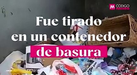 Tadeo y el penal de San Miguel: el caso que cimbró a México