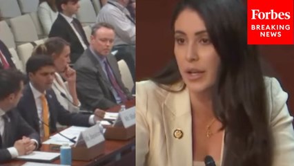 Anna Paulina Luna Asks Witness About Creation Of 'The First Superhuman' Using AI
