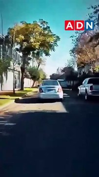 ¡Impactante atropello! Mujer embiste a adulto mayor y se da a la fuga (Video)