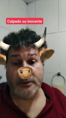 A culpa foi minha ?