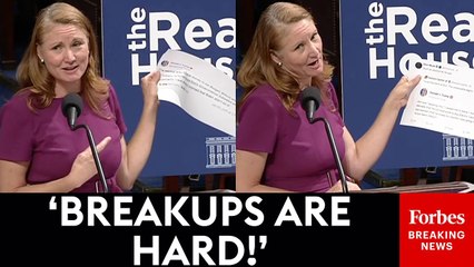 Melanie Stansbury Goes Tweet By Tweet Recapping The Shock War Between Trump And Elon Musk