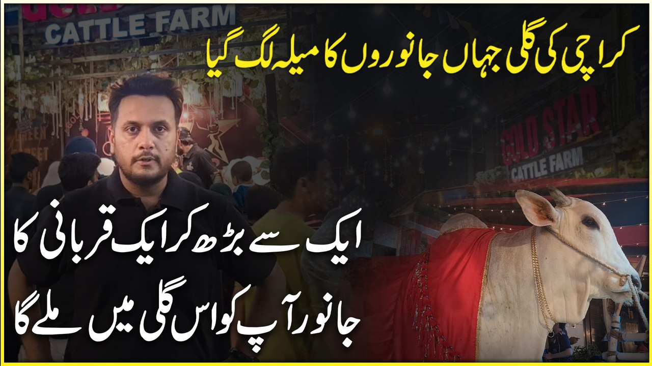 Karachi ki galli jaha Janwaro ka mela lag gya, aik se barh kar aik Qurbani ka janwar apko iss galli Mei milay ga