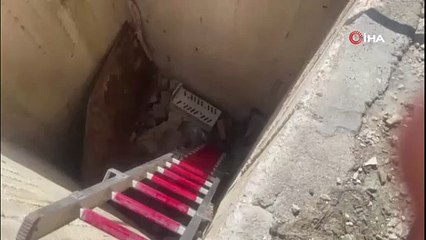 Yaramaz kedi düştüğü kuyudan böyle kurtarıldı