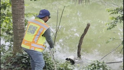 Presidente Mulino anuncia medidas firmes contra la contaminación en ríos de Azuero