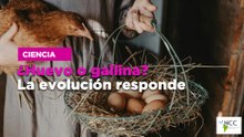 ¿Huevo o gallina? La evolución responde