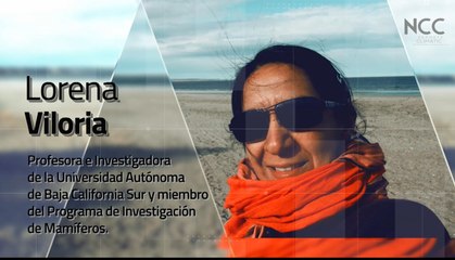 Reporte Climático 201  | Gigantes Marinos de México:ciencia y conservación