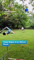 Ce Périgourdin fait partie de l'équipe de France de parcours d'obstacles canin avec sa chienne Plexie