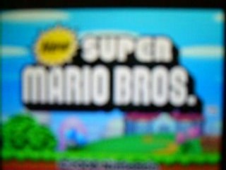 Super mario bros DS action replay