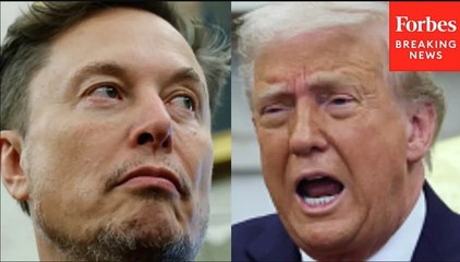 'This Is Just A Clown Car And An Absolute Circus': GOP Strategist Decries Public Trump-Musk Battle