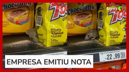 Mulher flagra rato comendo achocolatado dentro de supermercado no litoral de SP: ‘Absurdo’
