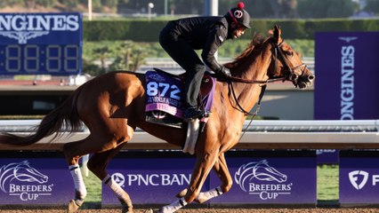 Philly Race Analysis: She Feels Pretty Faces Tough Rivals